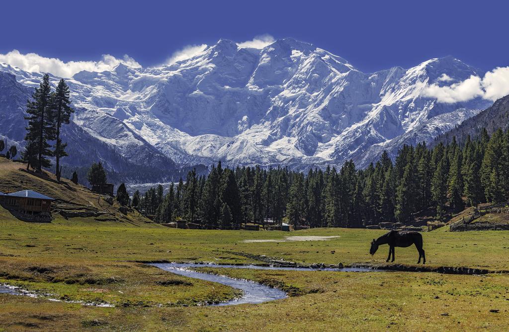 This is Diamir, also known as Deomir-later named Nanga Parbat in British surveys. Often called the "Killer Mountain" due to the many lives it has claimed, its name in the Shina language Deomir/Diamer means "Mountain of the Devas" or "Abode of the Fairies."