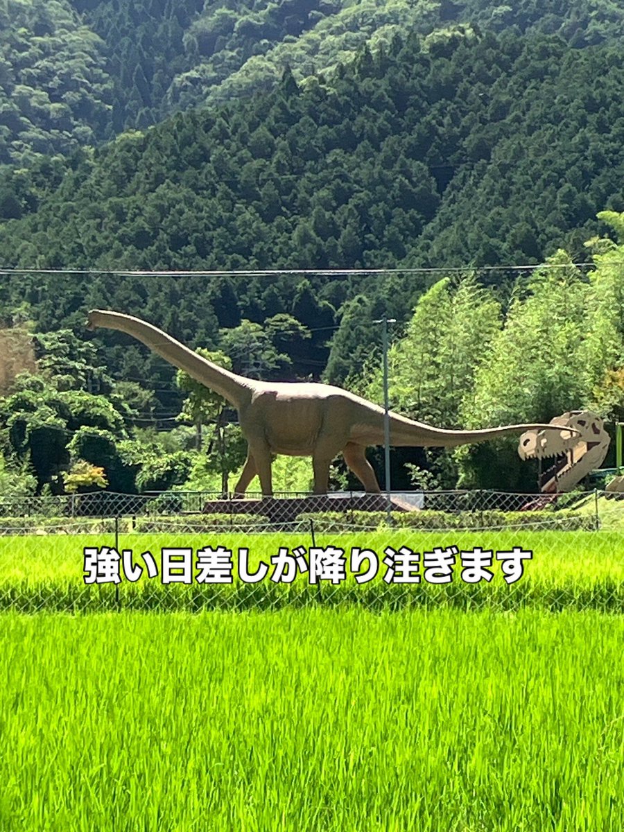 OUSDinosaur's tweet image. 🔥暑さに負けず、恐竜研究進行中！🦕

猛暑が続く中でも、本学では恐竜に関する研究が着実に進んでいます❗️先日は篠山層群で丹波竜発掘地を中心に、地層の詳細な記載を行いました🪨卒業研究や修士論文に活用できるデータも多数GET📊✨熱中症に気をつけて引き続きがんばりましょう💪🌿  

#恐竜学科