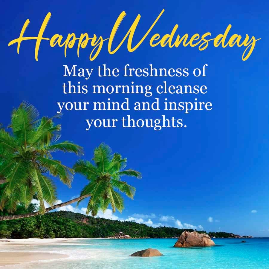 Angie_baby_25's tweet image. Good morning to all my wonderful Twitter/X friends on this super Wednesday morning. Happy Hump day! Have a fantastic day everyone. Take care and stay safe โค๏ธ๐ค๐๐ธ๐ต๐ป