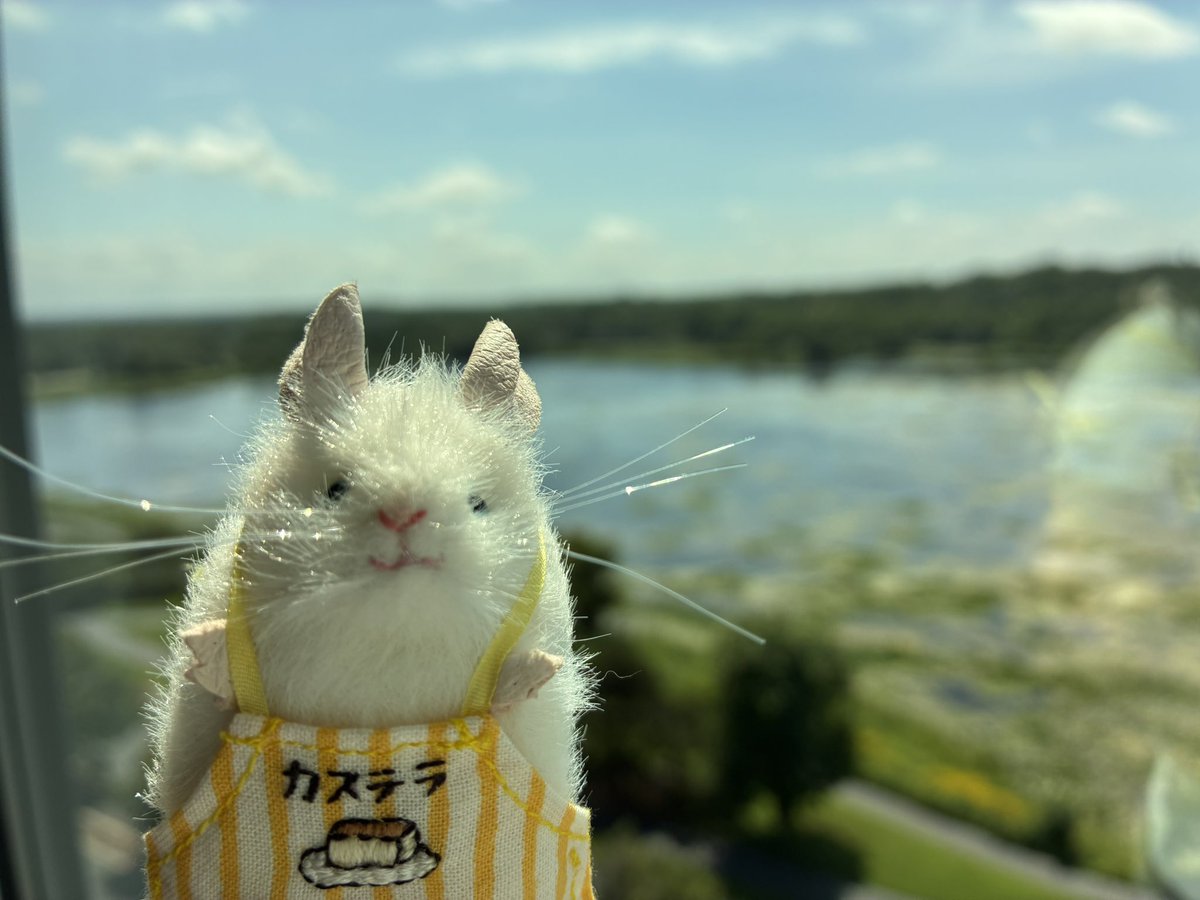 三角ユウリ ナース マウス Amazon.co.jp: 三角ユウリ マウスのぬいぐるみ チーズ