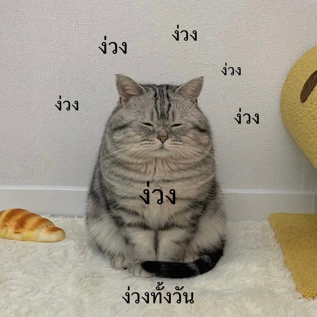 บทเรียนของกุที่นอนดึกเมื่อคืน :