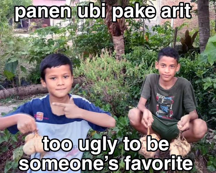 puntennyuak's tweet image. 
