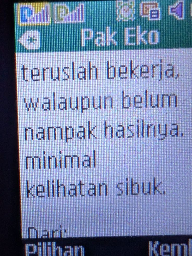puntennyuak's tweet image. 