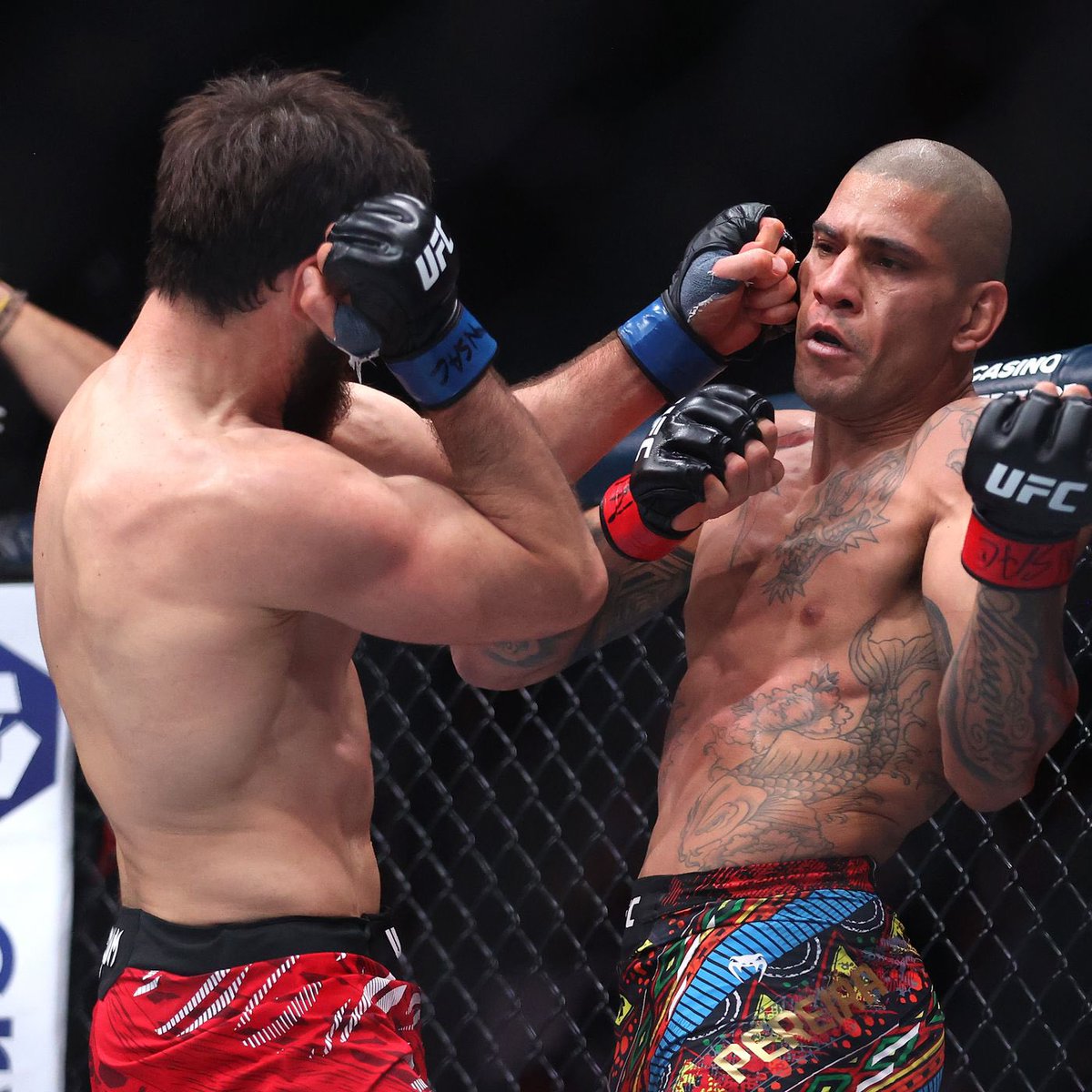 DovySimuMMA's tweet image. "I’m knocking Alex out this time. There is no other way, get ready for the big show."
- Magomed Ankalaev on rematch with Alex Pereira