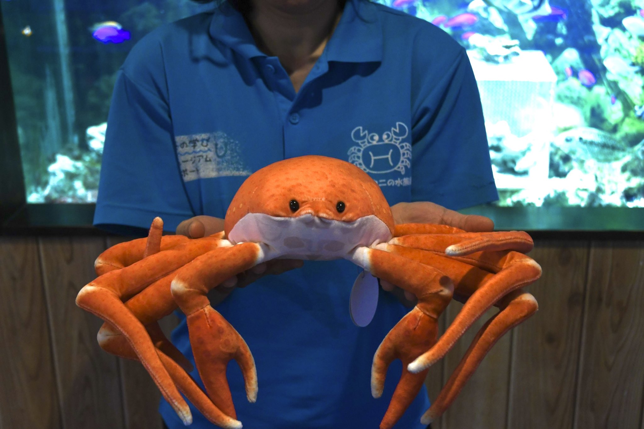 すさみ町立エビとカニの水族館 (@ebikaniaquarium) / X