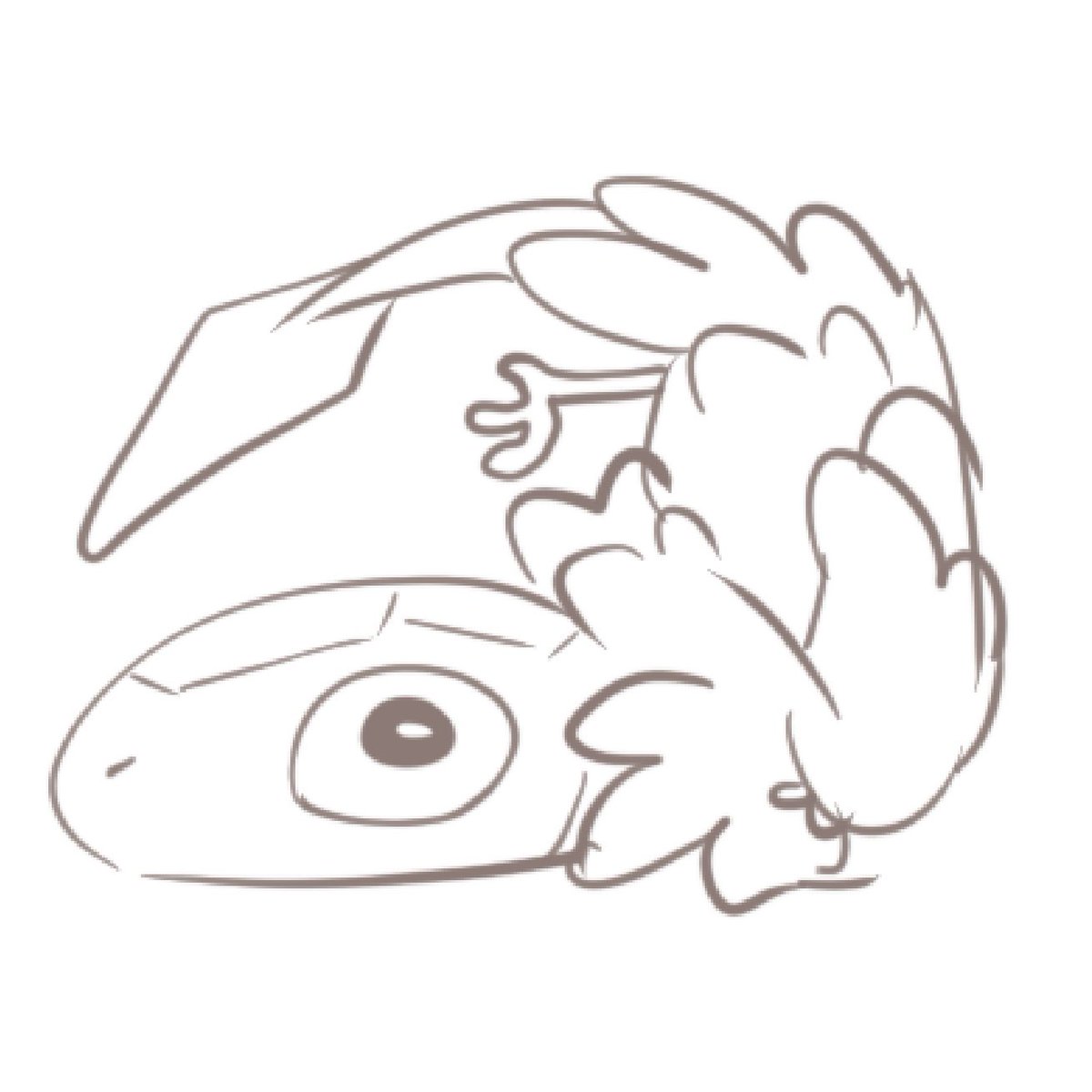 彌衫🌟超能臭臭 (@shan_mi72266) on Twitter photo 