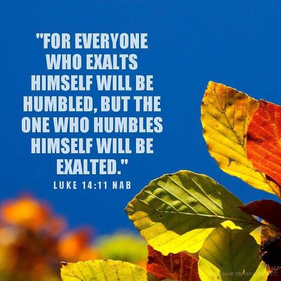 Mokone (@sefakomokolo) on Twitter photo 