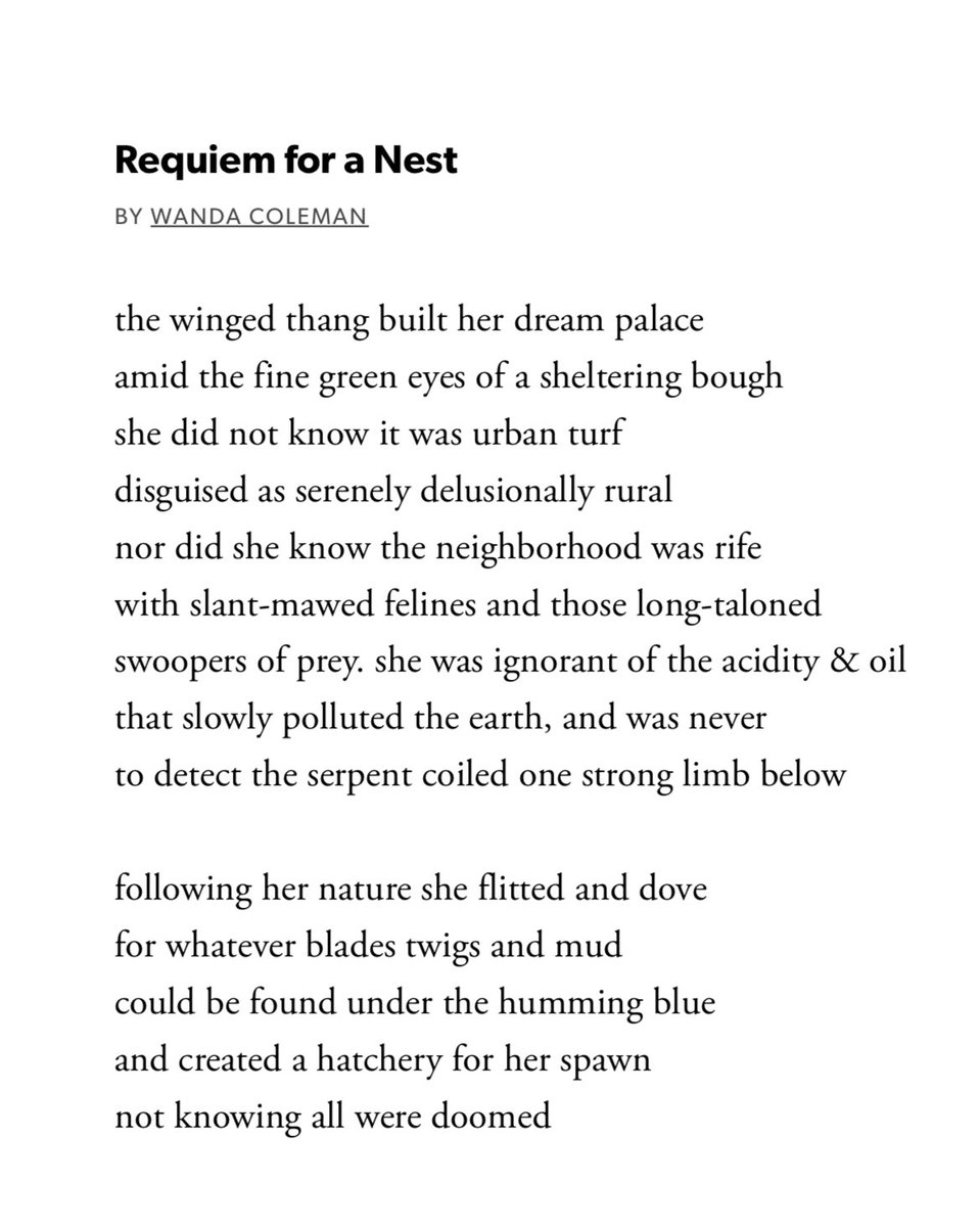 Wanda Coleman 💙