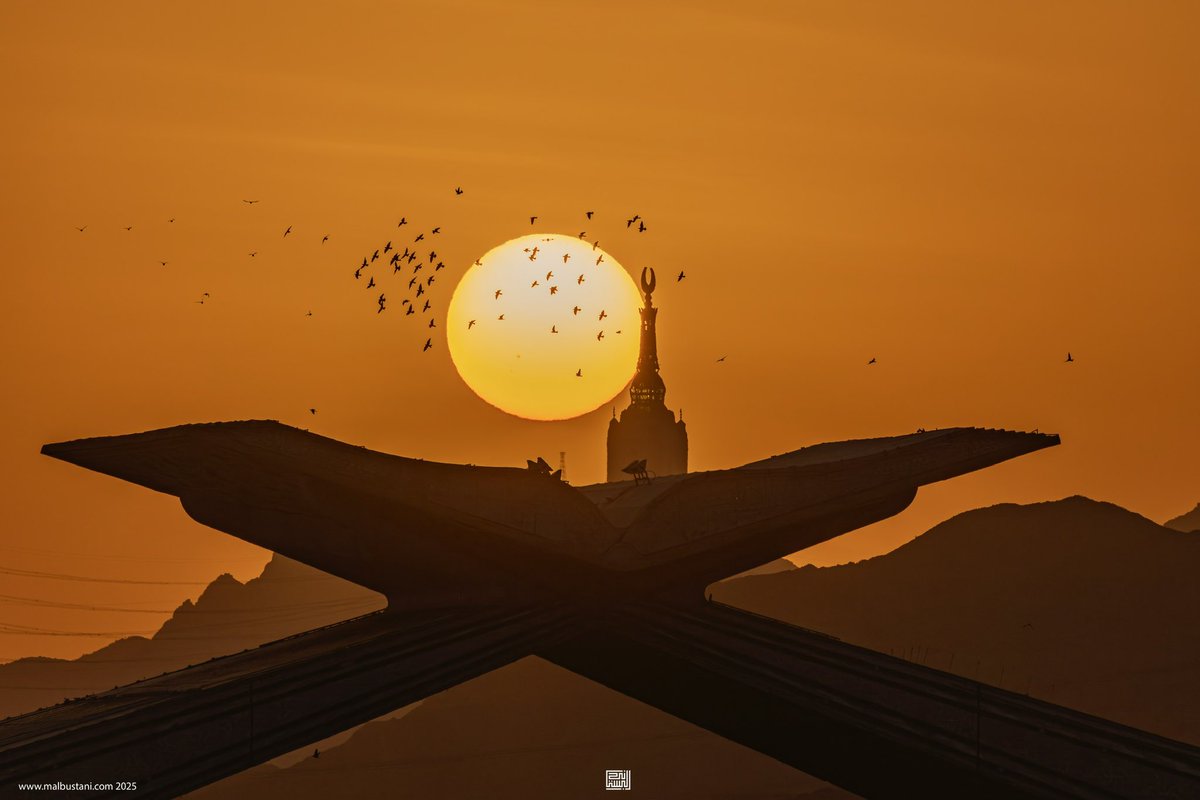 Malbustani 📷 محمد البستاني tweet media