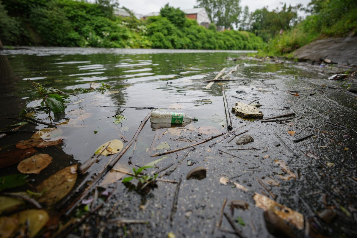 A51FR3D's tweet image. Will Labour be our sewage saviour or find themselves up the creek? cityam.com/will-labour-be…