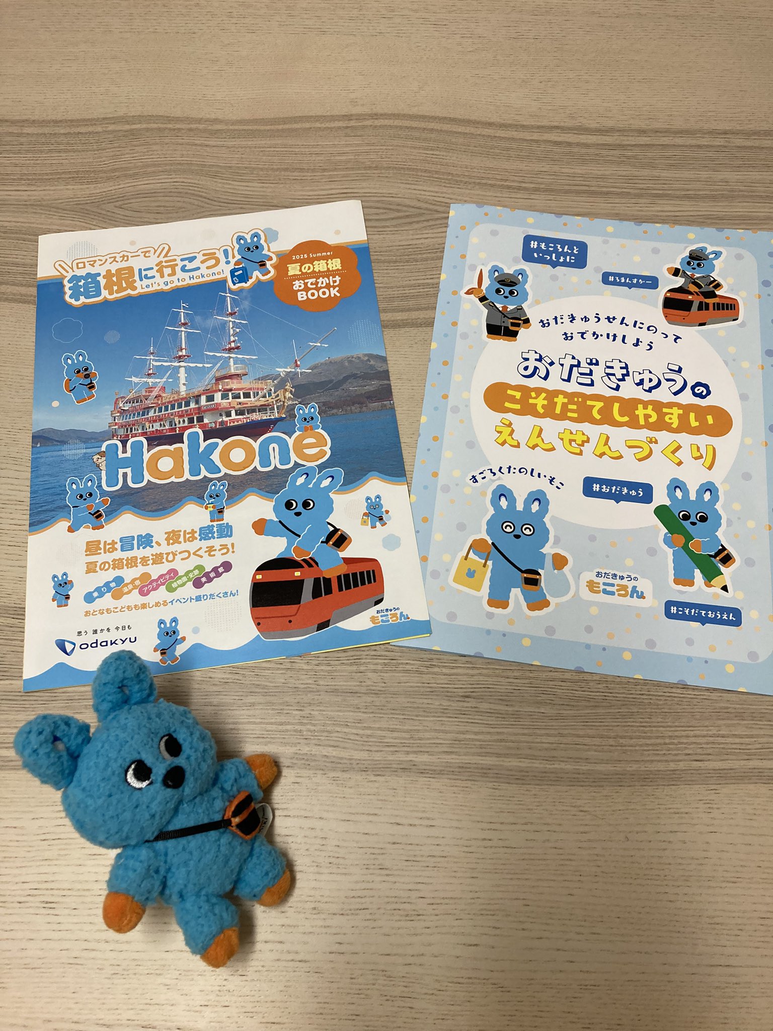 もころん 12974-1323-