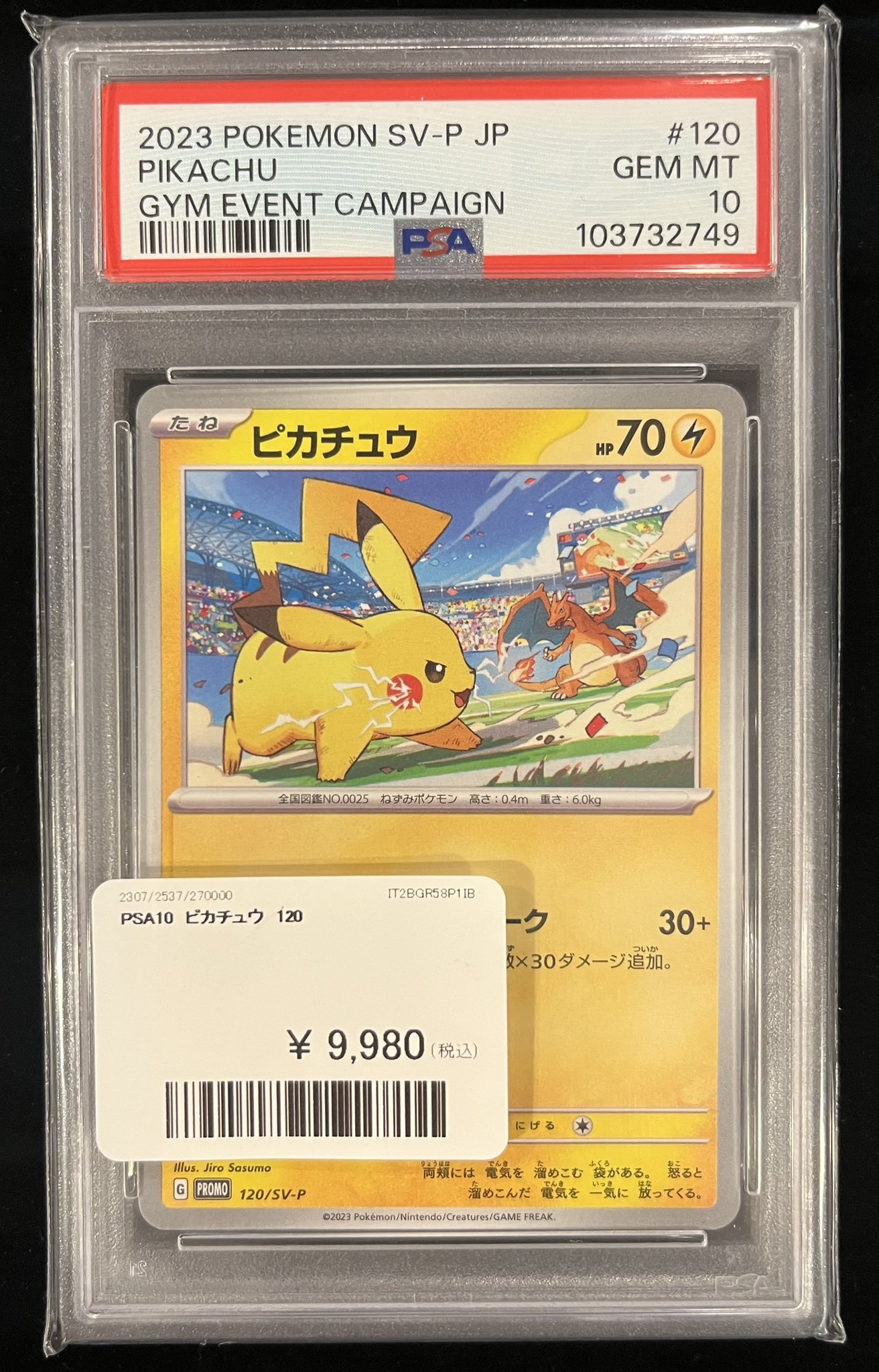 ピカチュウ のお年玉 PDG Collector's Shop 大阪オタロード店 on X: 