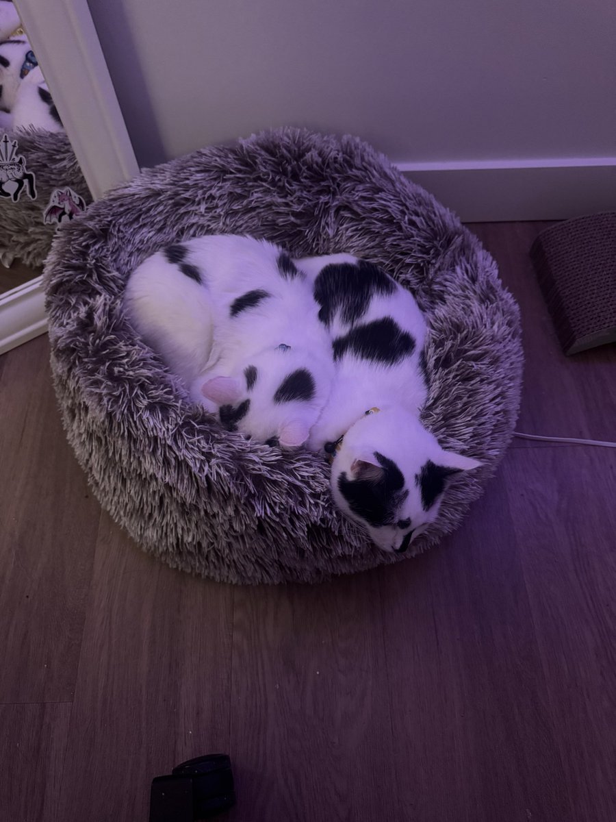 They’re getting too big to share 😭