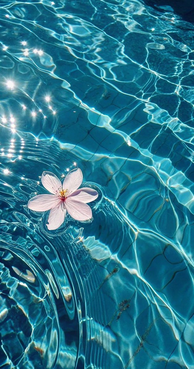 Anna Shirley (@annashi60491189) on Twitter photo 🌼
<a href="/SalaLettura/">©️ Il Caffè Letterario</a>
#SalaLettura
#DireLaVerità
Ci sono due errori che si possono fare lungo la strada per la verità:
non andare fino in fondo e non partire.
(Buddha)
🩷 🌼
<a href="/SalaLettura/">©️ Il Caffè Letterario</a>
#SalaLettura
#DireLaVerità
Ci sono due errori che si possono fare lungo la strada per la verità:
non andare fino in fondo e non partire.
(Buddha)
🩷