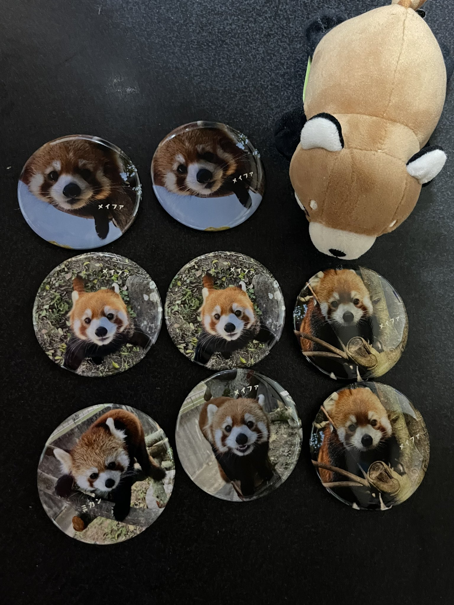 キラキラ缶マグネット どうぶつの森 6個セット C 朔羅 on X: 