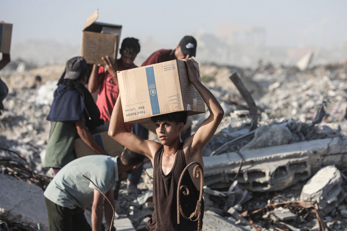 FC_actu's tweet image. À Gaza, la population menacée par la famine.
Trop faibles pour jouer, les enfants y rêvent à ce qu'ils aimeraient manger.
Alors que 25 pays ont signé un appel à la fin de la guerre sur place.
radiofrance.fr/franceculture/…