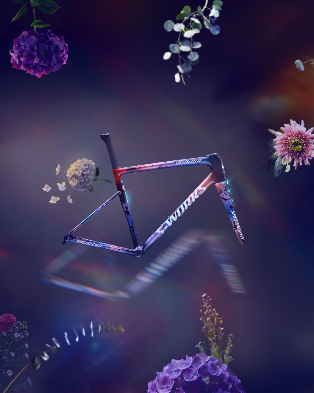 s-works tarmac sl4 （今週限定❗️） hv-sub2.jpg