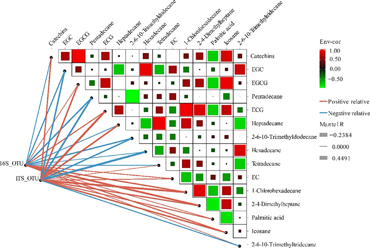 MaximumAcademic's tweet image. #BPR
Tea blister blight alters tea leaf microbiome. Study identifies potential biocontrol agents and resistance-related compounds. 🍵
@HortiPlant @NewPhyt @sci_plant @PlantPhys @ThePlantCell #TeaBlisterBlight #Microbiome
Details: maxapress.com/article/doi/10…
