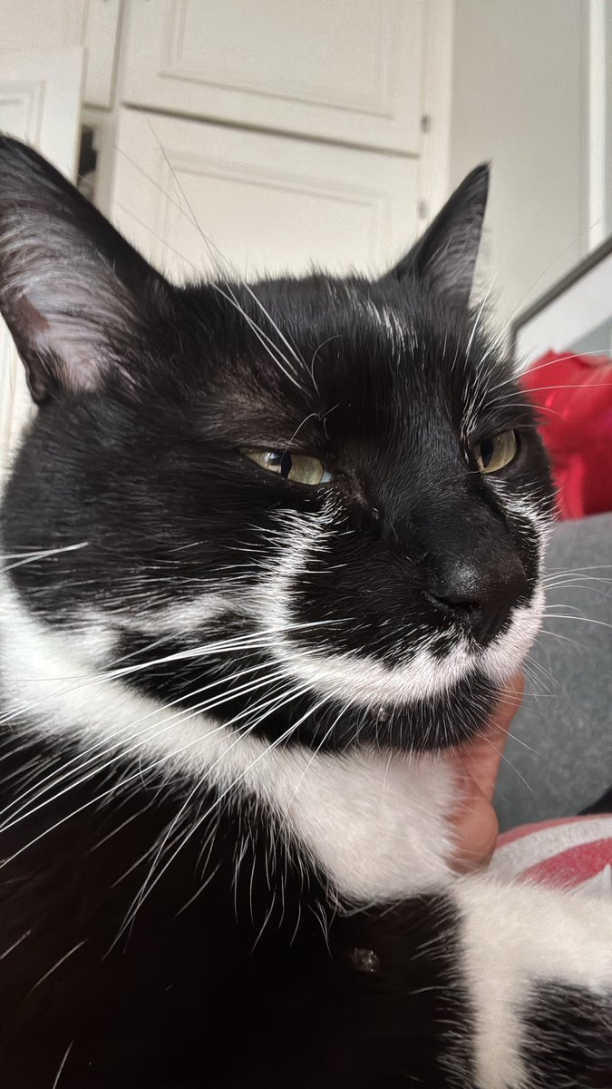 marcantoinecat's tweet image. man so happy he be drooling a little