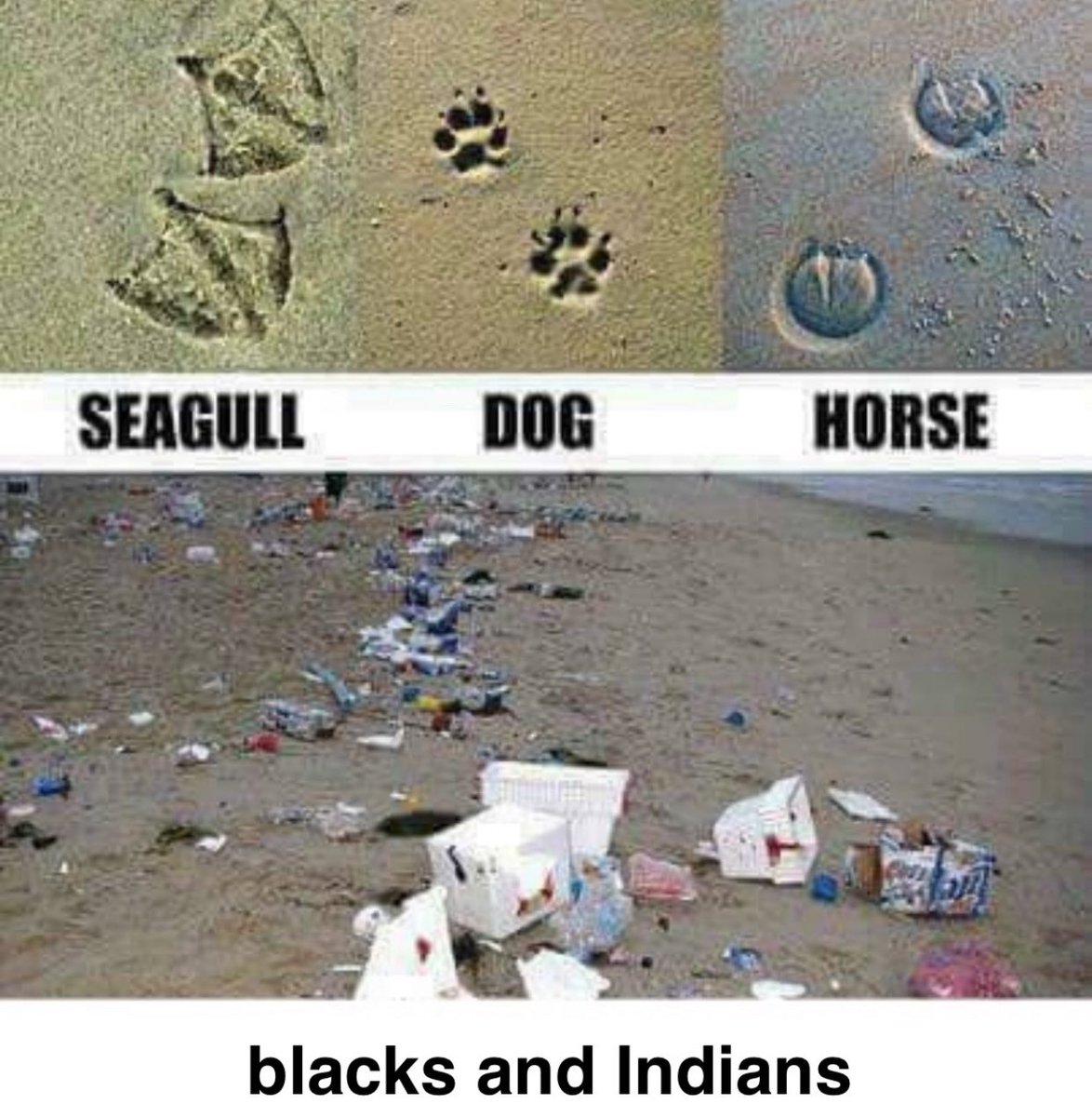 Garbage Human (@garbagehuman24) on Twitter photo 