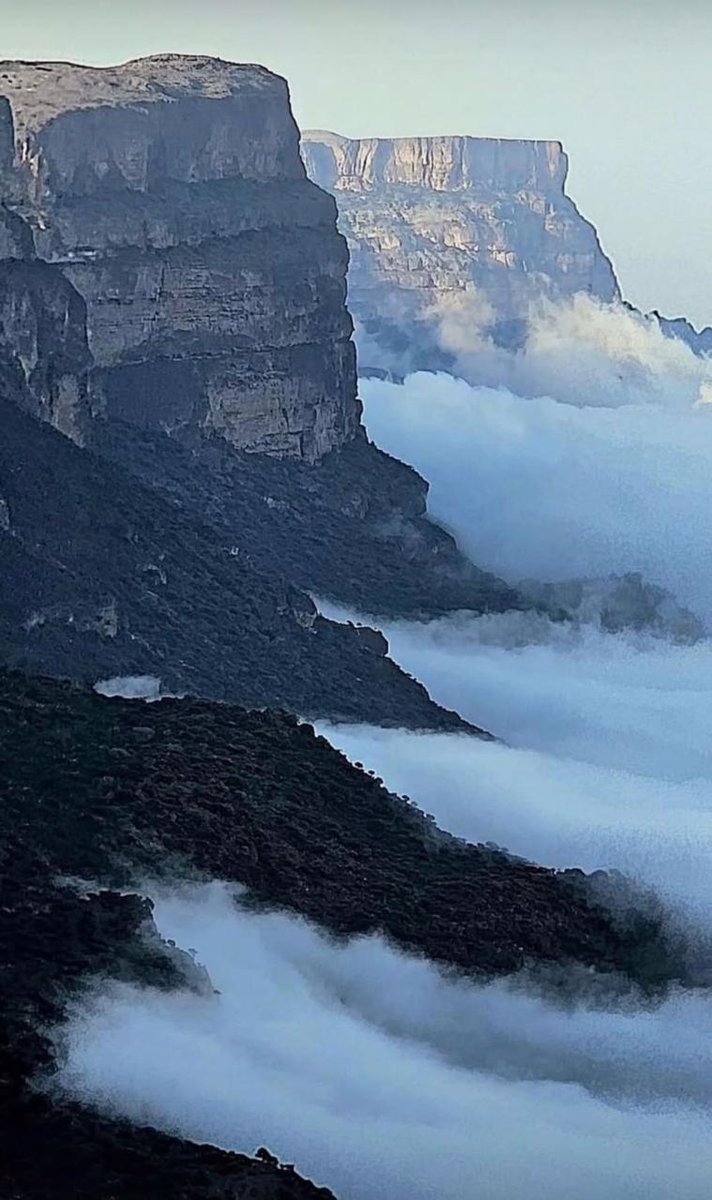 #صباح_الخير
التعامل بالمثل هو نوع من أنواع العدل لكن الاحسان هو أفضل انواع التعامل.