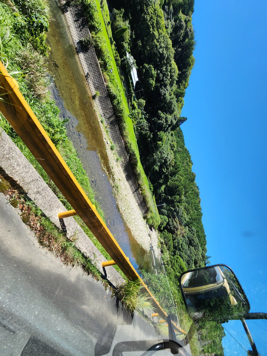 今日は山口県に配送☝️
帰りに和歌山でもう１台配送🫠