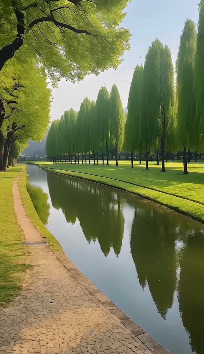 AGMRedMylene's tweet image. Good afternoon...🏝
Enjoy the rest of the day... 🌱
Always take an extra care... 💚