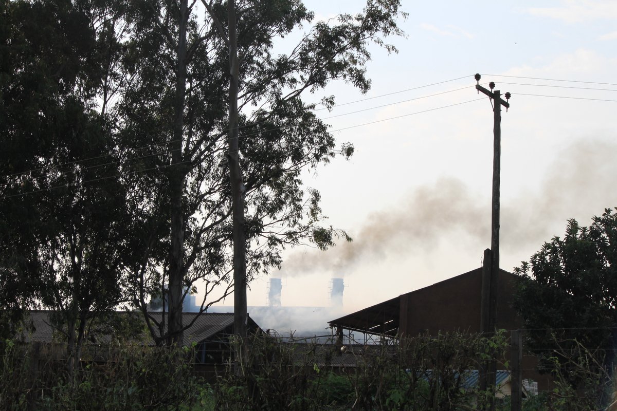 SonySugar Company 2025 Ltd tweet media