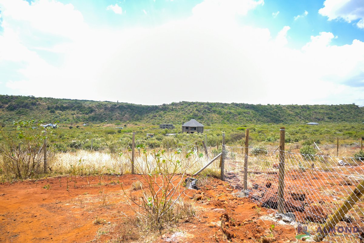 UKatung's tweet image. Looking for your future home?
Own a plot in Kimuka, Ngong for just Ksh 699,000
Flexible payment
Ready title deeds
Water available
2 km from Ngong–Suswa Road(Kibiku Town)
📞 +254 720 866 842 today.
#LandForSale #PlotForSale #RealEstate #thestandard #EdwinSifuna #Diaspora #ForSale