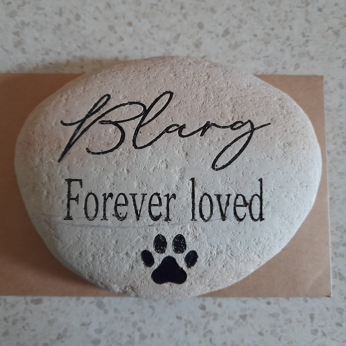 wombatwalking's tweet image. Two of you beautiful people who have been following Blarg's story for a long time, and understand how much he means to me, sent this. It made me sob but in a very good way. It says it all so thank you.