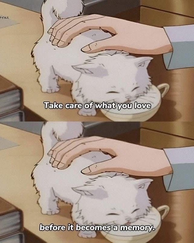 mista 🪢 (ascension arc) (@0xmista) on Twitter photo 