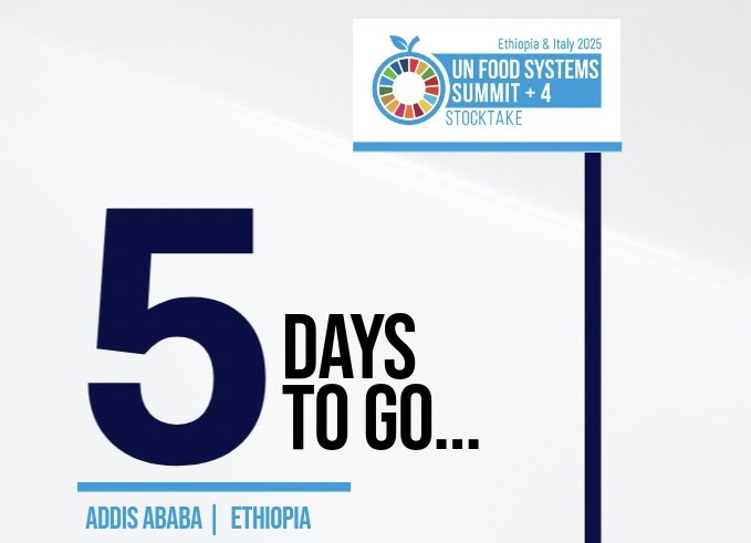 The Ministry of Foreign Affairs of #Ethiopia ๐ช๐น (@mfaethiopia) on Twitter photo ๐ข๐ป๐น๐ ๐ฑ ๐ฑ๐ฎ๐๐ ๐๐ผ ๐ด๐ผ!
Addis Ababa is looking forward to welcoming participants to #UNFSS2025 on 28โ29 July with a rich programme of engagements. The event will be preceded by an Action Day on 27 July, featuring field visits, alongside landmark side events on Youth and ๐ข๐ป๐น๐ ๐ฑ ๐ฑ๐ฎ๐๐ ๐๐ผ ๐ด๐ผ!
Addis Ababa is looking forward to welcoming participants to #UNFSS2025 on 28โ29 July with a rich programme of engagements. The event will be preceded by an Action Day on 27 July, featuring field visits, alongside landmark side events on Youth and