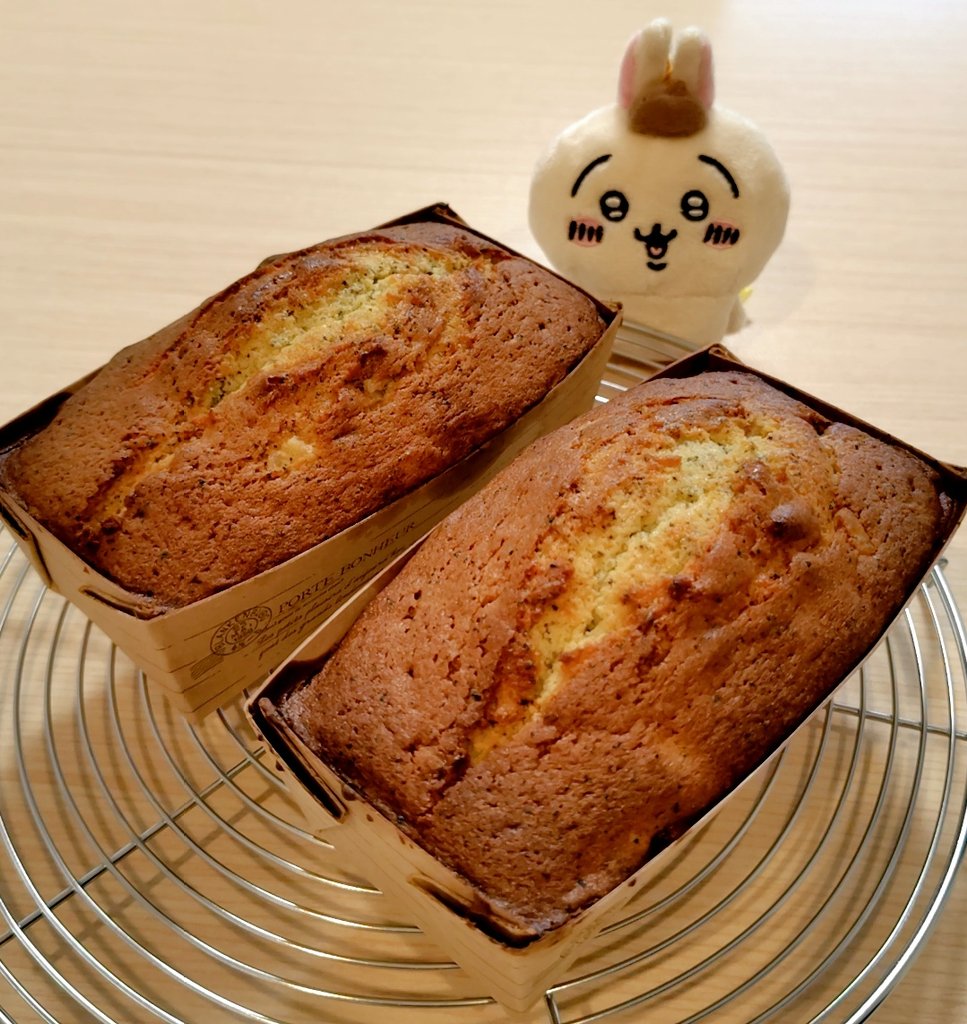 紅茶とオレンジのパウンドケーキを作りました☕🍊
細かい茶葉なので、生地にそのまま混ぜ込むことができ、ふわ〜っと香りが広がってちょっと幸せ気分♪
バターが馴染んでから食べたいので、我慢だようさぎ🐰
#お菓子作り