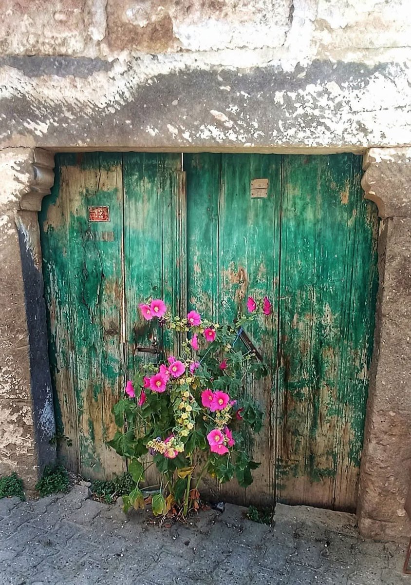 serenad75's tweet image. Bir şeyin  kapladığı yeri bıraktığı boşluğa bakarak  öğrenmek ne kadar geç kalınmış bir öğrenmedir.