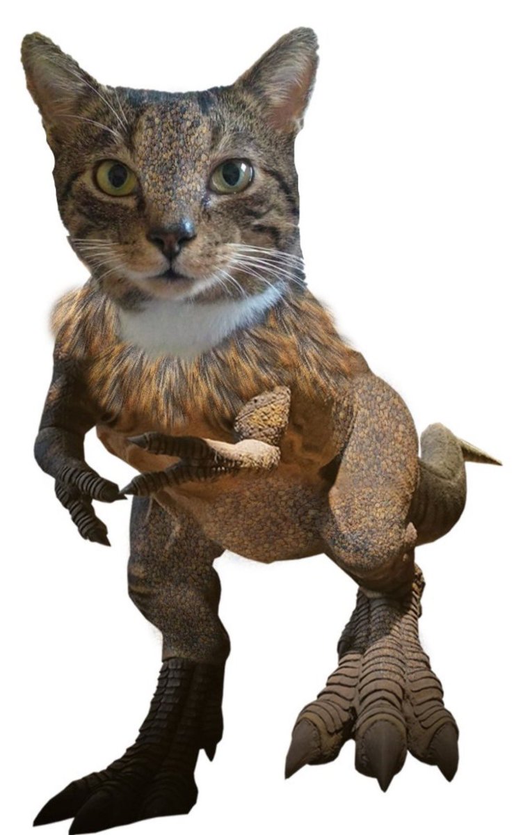 slayerofmoskali's tweet image. Meet Bertie, the mighty Meowsaurus🦖He wants to be petted. You can find Bertie at Fellassic Park supporting @coastoflife_od 🦭