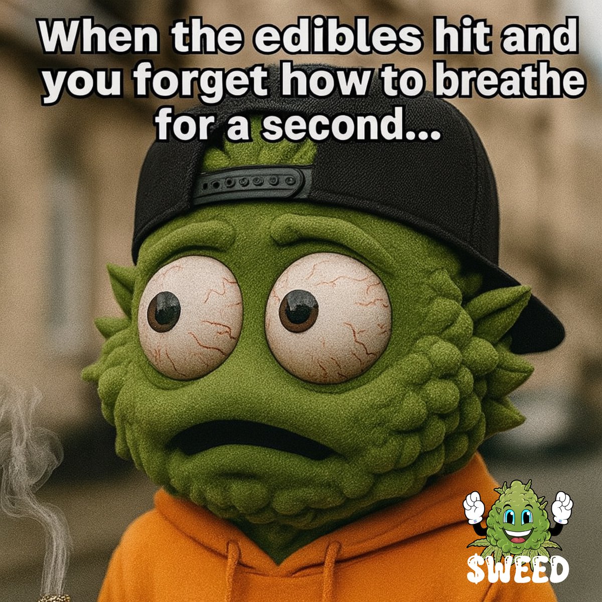 WeedMemeCoin420's tweet image. GM ☕️🌿

Happy Hump Day Wednesday! 
💚😎🍃💨