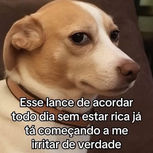 Pagina lixo (@paginalixo1) on Twitter photo 