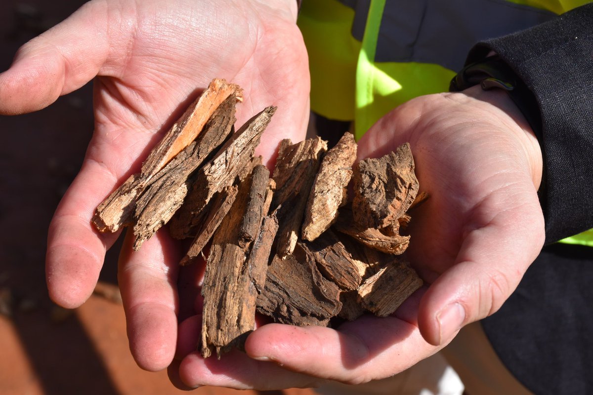 juanrapv's tweet image. 🔁 Más de 4.200 toneladas de biomasa forestal andaluza rumbo a Francia 🌲⚡
Desde Andalucía exportamos energía limpia, prevención de incendios y desarrollo rural.
Gestión forestal activa, circular y con futuro.
💚 #Biomasa #LeyDeMontes #RevoluciónVerde #Andalucía