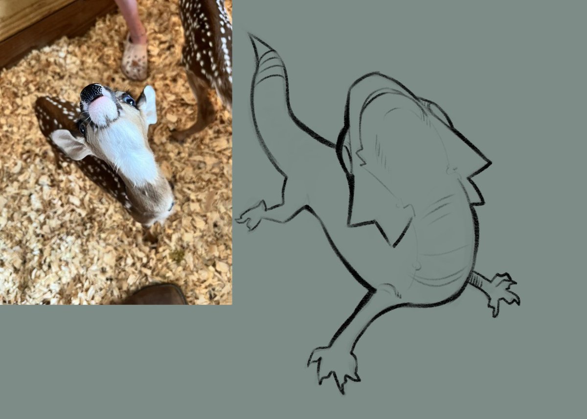 MaridianSnack's tweet image. Snack irl