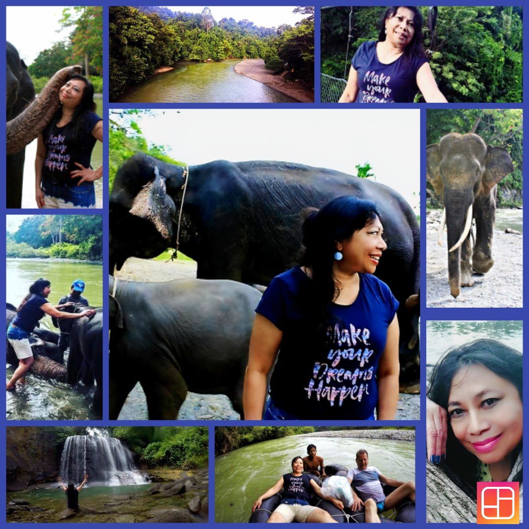 "I have a memory like an elephant. I remember every elephant I've ever met." 
Good morning dear friends, happy Wednesday to you there, sending you smiles 🌏 😊🏡 🌬 ☀️ 🙏🕊 🐘🐘🐘🌳🌿💚🩶🌿🐘🐘🐘🏞🌊🐘🌿🌳