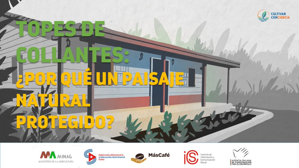 A solo poco minutos de la patrimonial Trinidad se llega al eje neurálgico de estas lomas: Topes de Collantes, considerado por muchos como un paraíso entre las nubes. Iniciamos un recorrido por la zona y te contamos. #Cuba 🌿👇
youtu.be/ceIh18B8kms?si…