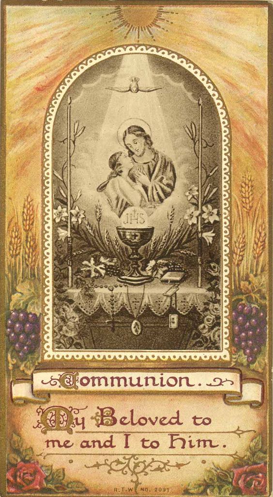 englandthydowry's tweet image. Abide in Me, and I in you. As the branch cannot bear fruit by itself, unless it abides in the vine, neither can you, unless you abide in Me. He who abides in Me, and I in him, he it is that bears much fruit, for apart from Me you can do nothing.
- John 15:4-5
