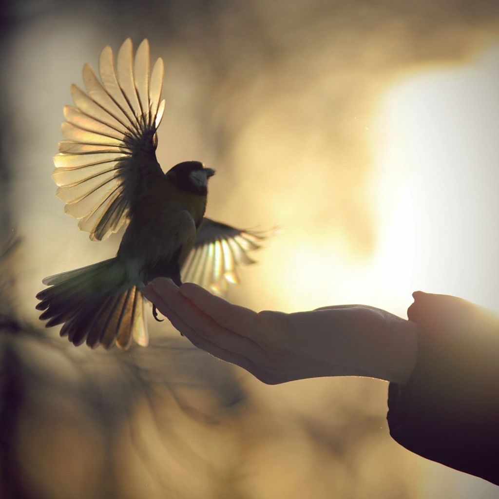 ramblingsloa's tweet image. See the light in others
And treat them as if that鈥檚 all you see.
Dr Wayne Dyer