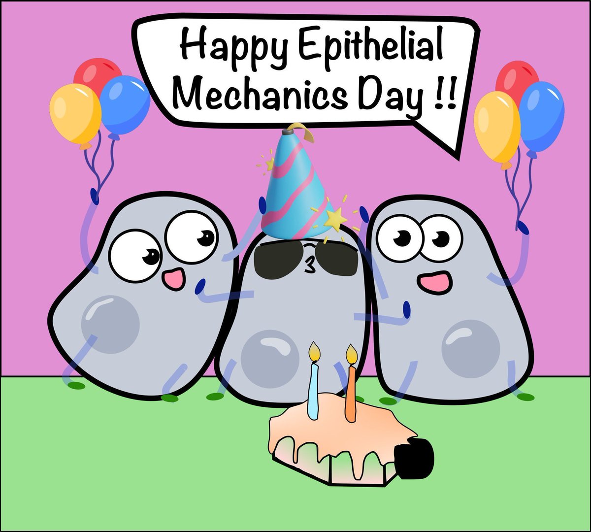 EpiMechFC's tweet image. 🎉 Happy International #EpithelialMechanics Day! 🎉