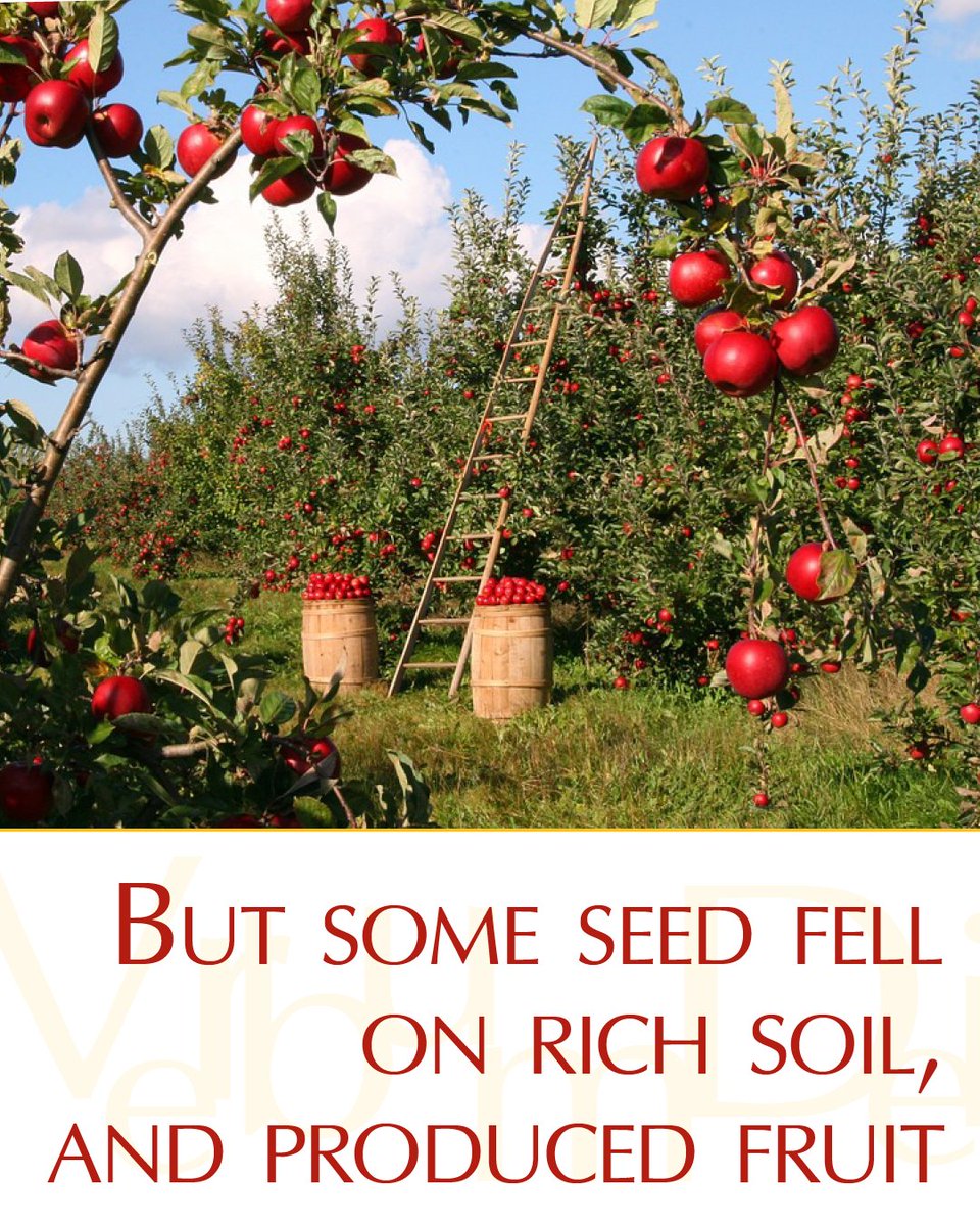 Gospel of the Day (Matthew 13:1-9)

"But some seed fell on rich soil, and produced fruit, a hundred or sixty or thirtyfold."