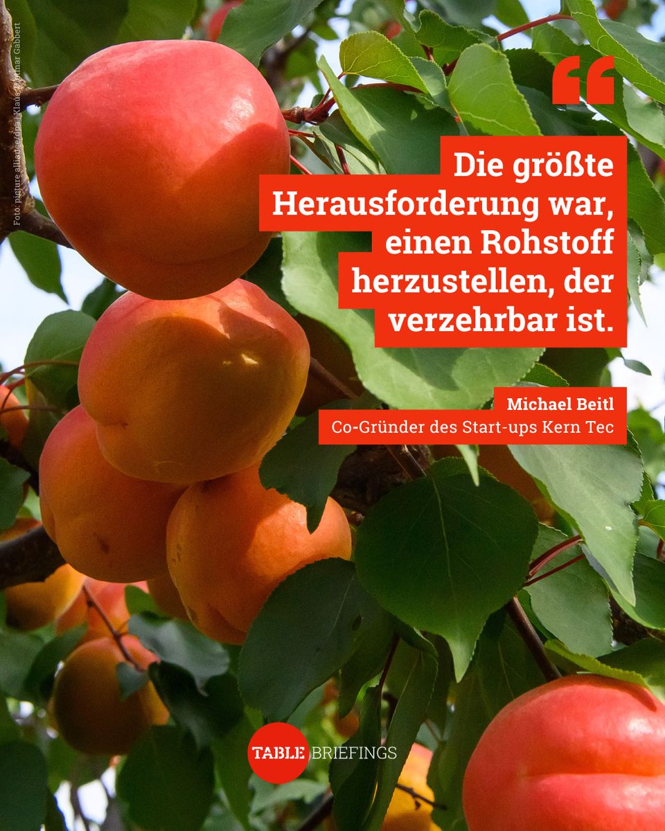 TableBriefings's tweet image. Obstkerne, Pressrückstände und Cashew-Früchte: Wie Start-ups mit Abfällen gegen #Lebensmittelverschwendung kämpfen 👉 buff.ly/0AElQvr
#esg #kreislaufwirtschaft