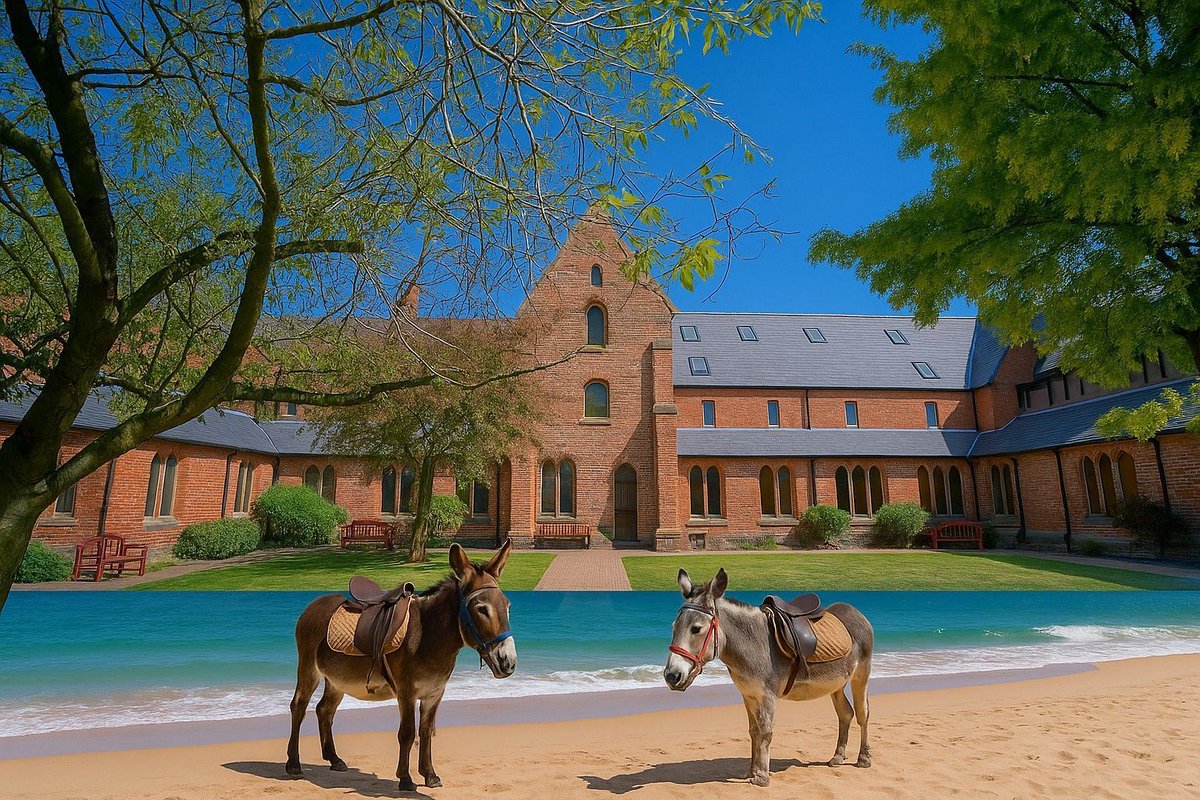 ☀️🏖 Gorton’s going coastal this Sunday! 👀 

🐚 FREE family fun day at the Monastery: face painting, crafts, donkey rides &amp; MUCH more.

📆 10am-4pm 
🎟️ Free tickets on linktree in bio 👆 

#Gorton #ManchesterEvents #FamilyFun