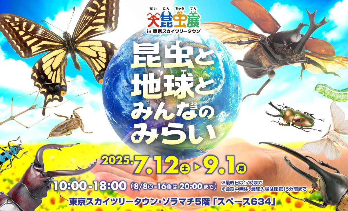 DIG_museum's tweet image. \\ ✨ただいま開催中‼ //
🖌️『大昆虫展 〜昆虫と地球とみんなのみらい〜』
ワークショップイベント
【さとう甲とDIG 昆虫をつくる】
#カイコ の幼虫 クリア#ソフビ
を自由に ペイント&デコレーションしよう!
会場:東京スカイツリー
参加費:1,500円(税込)
まだまだ間に合いまーす!
