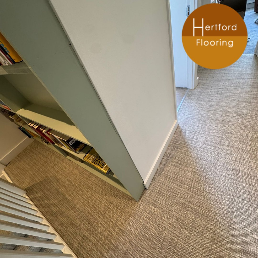 HertfordFlooring (@hertfordfloor) on Twitter photo #Beautiful #carpet from Riviera
๐ ๐งก๐
In Capri Dove
๐ ๐งก๐
100% #wool
๐ ๐งก๐
Supplied and fitted July 2025
#carpets #homestyle #homedecor #flooring #ideas #inspiration Did we mention we were on #houzz ๐houzz.co.uk/hznb/projects/โฆ
๐ ๐งก๐
#hertfordflooring #discerninglydifferent #Beautiful #carpet from Riviera
๐ ๐งก๐
In Capri Dove
๐ ๐งก๐
100% #wool
๐ ๐งก๐
Supplied and fitted July 2025
#carpets #homestyle #homedecor #flooring #ideas #inspiration Did we mention we were on #houzz ๐houzz.co.uk/hznb/projects/โฆ
๐ ๐งก๐
#hertfordflooring #discerninglydifferent