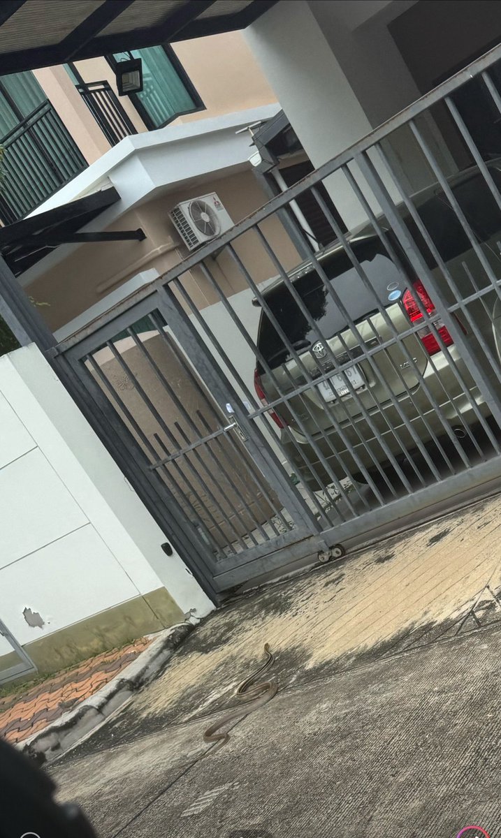 Wrote about it just last week. Another one in our moo baan today 😣